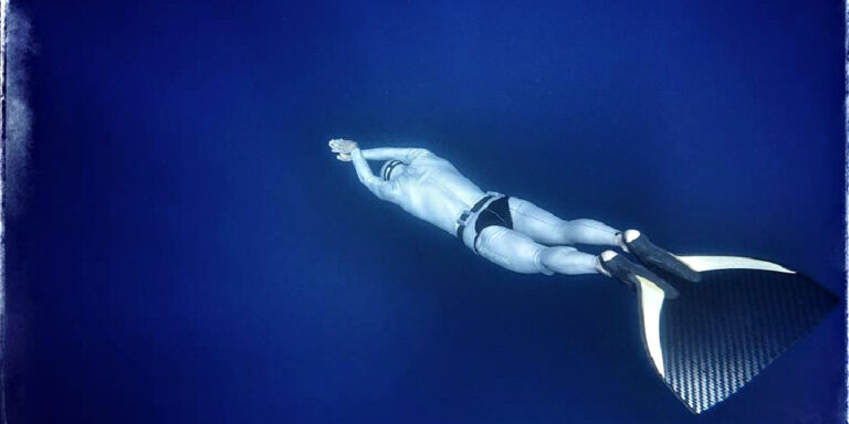Plongée sous-marine en apnée, explorant les profondeurs marines et la beauté océanique.