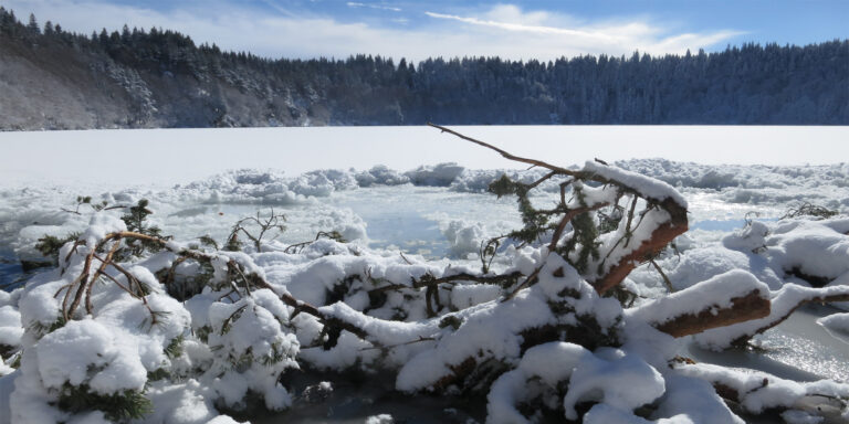 Paysage hivernal avec branches enneigées près d'un lac gelé, reflet de la nature sous-marine.