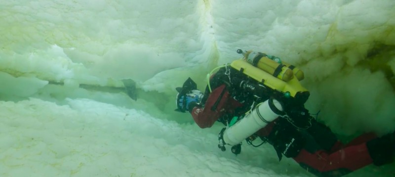 Laurent Ballesta Sous La Banquise 800x360