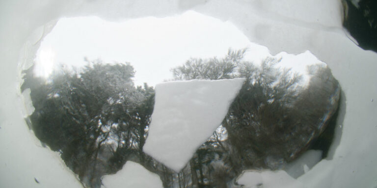 Reflet sous-marin montrant la glace et la végétation aquatique environnante.