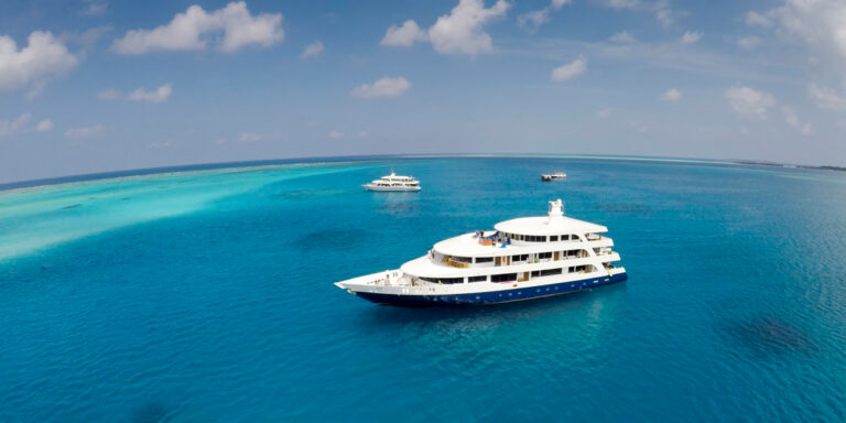Bateau de croisière sur des eaux turquoise, exploration du monde sous-marin fascinant.