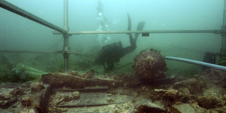 Plongée sous-marine explorant des épaves et la vie marine cachée.