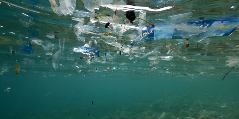 Pollution plastique dans l'océan, impact sur la vie marine et l'écosystème aquatique.
