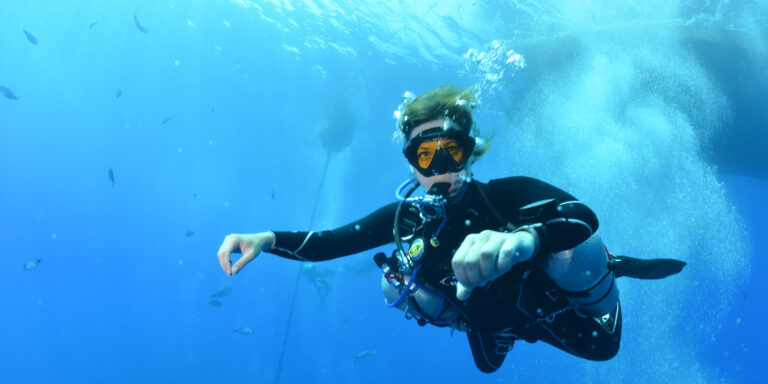 Plongée sous-marine avec un plongeur explorant un monde aquatique riche en poissons.