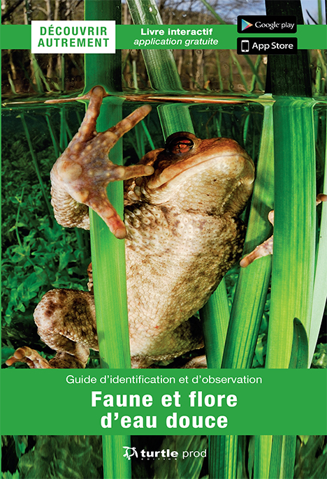 Explorez la biodiversité aquatique avec ce guide interactif sur la faune et la flore d'eau douce, idéal pour les passionné...