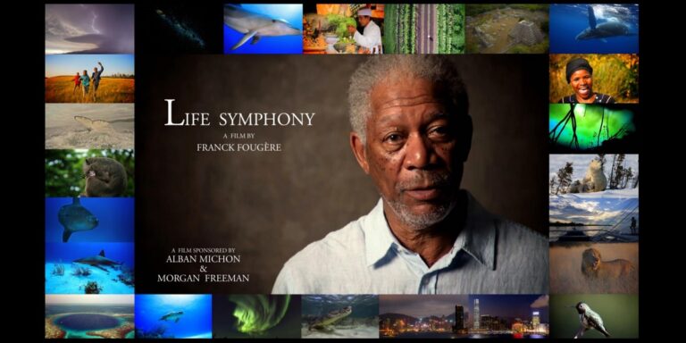 Documentaire captivant sur la biodiversité marine et la symbiose des écosystèmes sous-marins.
