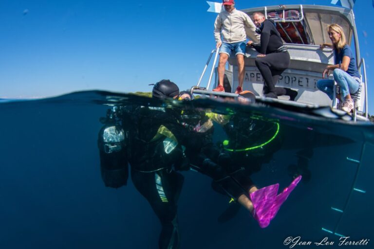 Plongée sous-marine avec des plongeurs et un bateau, explorant la vie marine.