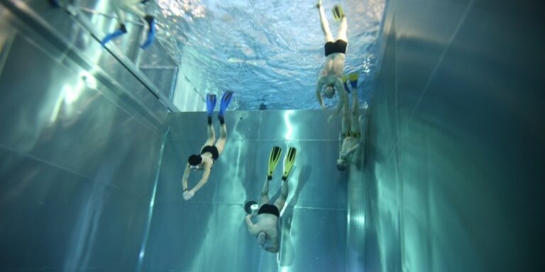 Plongée sous-marine avec des apnéistes dans un environnement aquatique moderne et captivant.