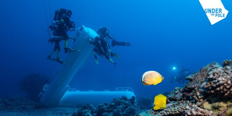 Exploration sous-marine avec plongeurs et poissons colorés dans un environnement corallien.