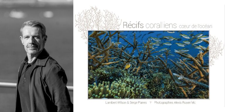 Récifs coralliens, écosystème marin vital, biodiversité océanique, beauté sous-marine exceptionnelle.