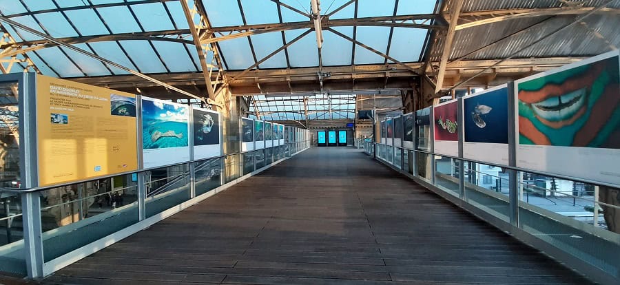 Exposition En Immersion Au Coeur Du Corail David Doubilet Sncf Gares Connexions Musée Océanographique De Monaco 15 Fevrier 15 Avril Gare De Nice