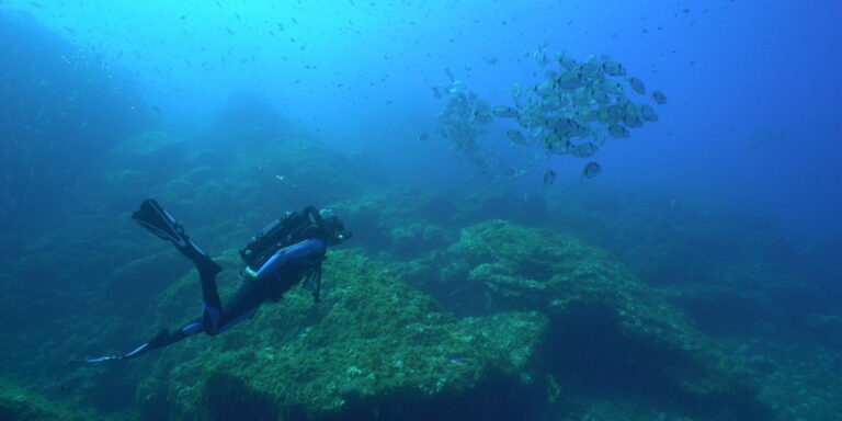 Mare Nostrum