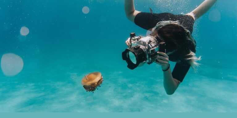 Photographe sous-marin capturant une méduse dans un environnement aquatique cristallin.