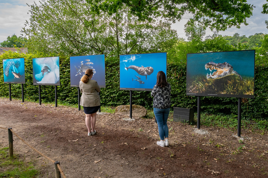 Expo Greg Lecœur Festival Photo La Gacilly