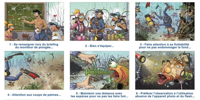 Conseils essentiels pour la plongée sous-marine : sécurité, équipement et respect de la vie marine.