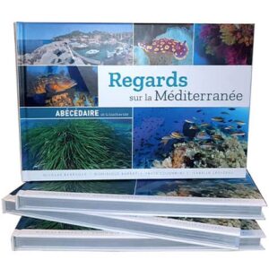 regards-sur-mediterranee_ABCDaire-biodiversite-2 Plongez dans la biodiversité méditerranéenne avec cet abécédaire illustré, une invitation au voyage sous-marin.