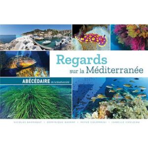regards-sur-mediterranee_ABCDaire-biodiversite Explorez la richesse marine de la Méditerranée à travers des images captivantes de sa biodiversité sous-marine exceptionne...