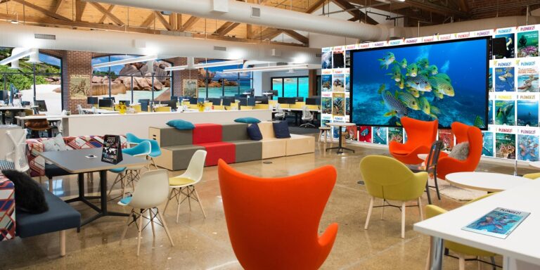 Bureau moderne avec décoration sous-marine et écran affichant des poissons colorés.