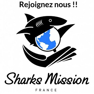 Affiche 2