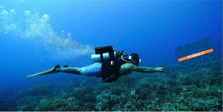 Plongée sous-marine explorant les merveilles des récifs coralliens et de la vie marine.