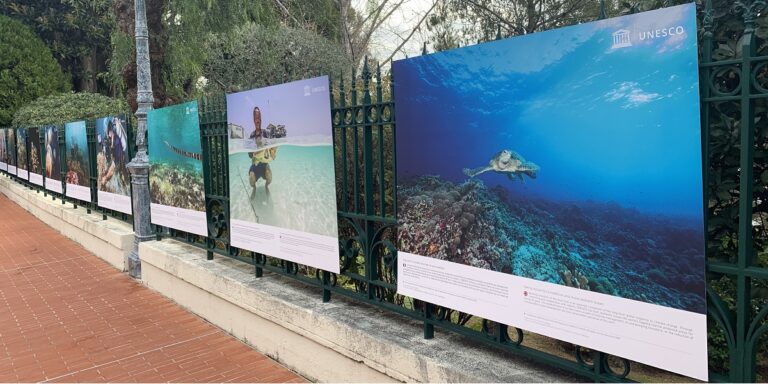 Exposition sur la préservation des écosystèmes marins et la biodiversité sous-marine.