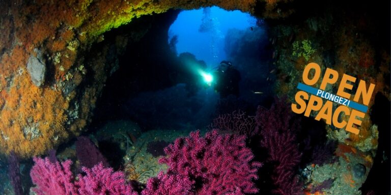 Exploration sous-marine avec coraux colorés et plongeur éclairant les profondeurs marines.