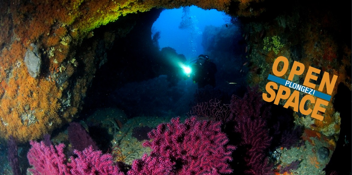 Exploration sous-marine avec coraux colorés et plongeur éclairant les profondeurs marines.