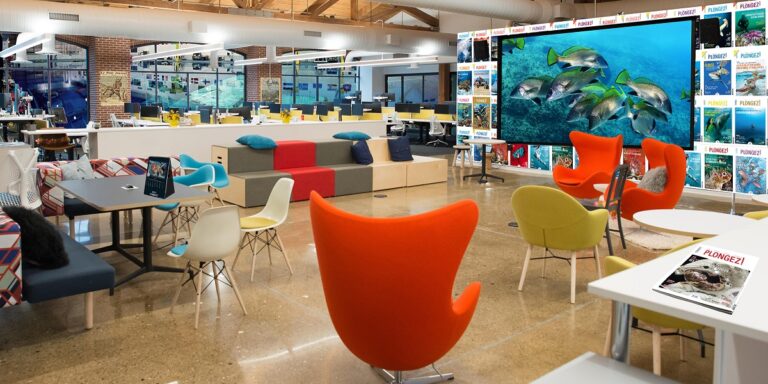 Espace de travail moderne avec décor sous-marin et ambiance inspirante pour les passionnés de plongée.