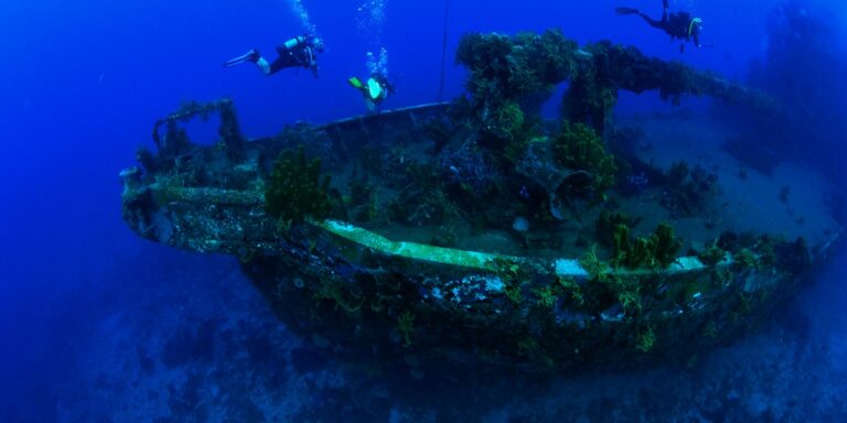 Plongée sous-marine près d'une épave, riche en coraux et vie marine.