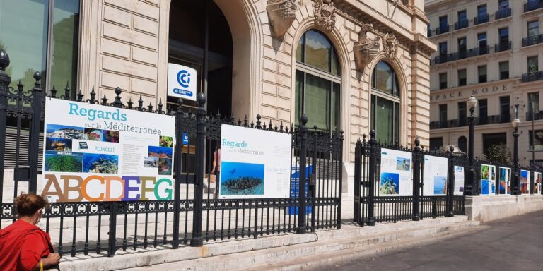 Exposition sur la Méditerranée, explorant la biodiversité marine et la protection des écosystèmes.