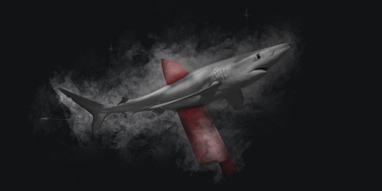 Requin majestueux nageant dans un univers sous-marin mystérieux et captivant.
