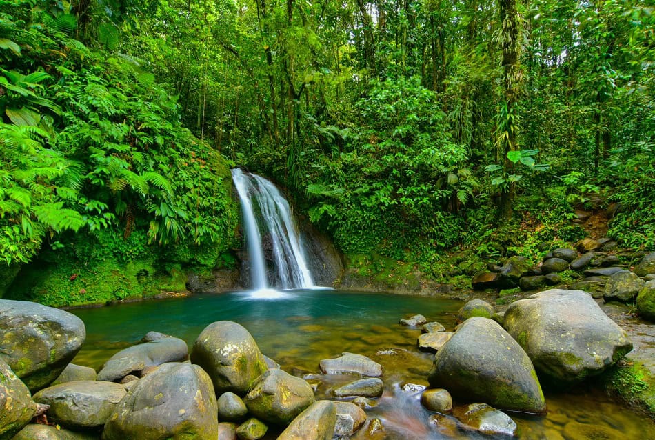 Cascade Aux écrevisses (basse Terre) Ctig