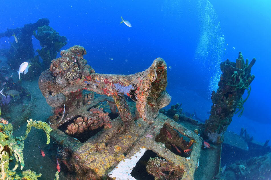 Guadeloupe Franjack Nicolas Barraqué