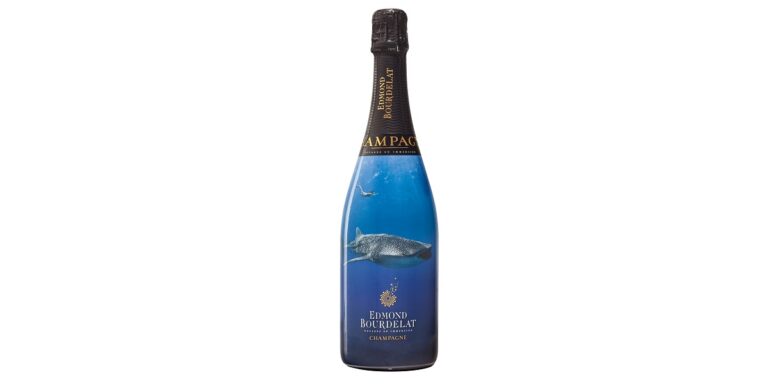 Bouteille de champagne illustrée d'un monde sous-marin vibrant et captivant.