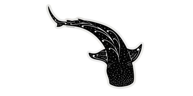 Illustration d'un requin mystérieux dans un style artistique sous-marin. Écosystème marin fascinant.