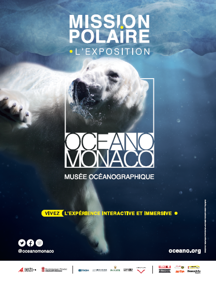 Affiche Expo Polaire 438x570