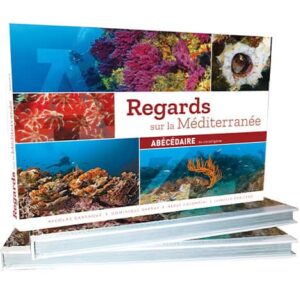 regards-sur-mediterranee_ABCDaire-du-coralligene-2 Explorez la biodiversité sous-marine fascinante de la Méditerranée à travers cet abécédaire richement illustré. #Plongée