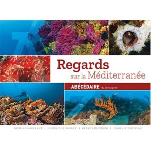 regards-sur-mediterranee_ABCDaire-du-coralligene Plongez dans la biodiversité fascinante du coralligène méditerranéen, un trésor sous-marin à explorer pour les passionnés ...