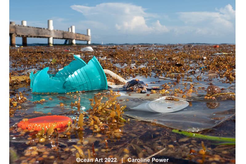 2nd Underwater Conservation Caroline Power Drowned In Plastic