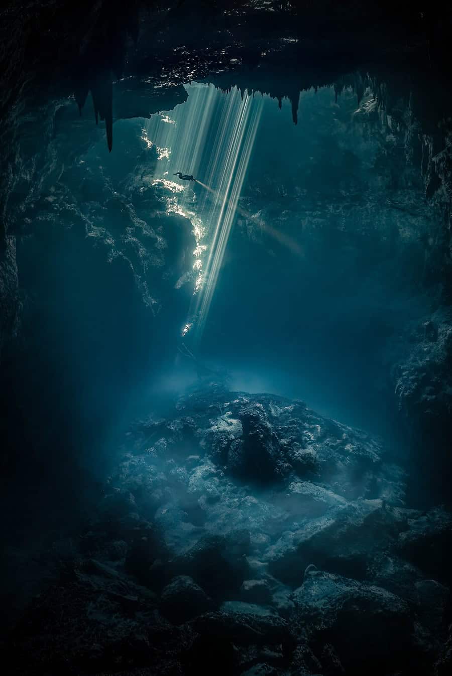 Wod2023 Photo Competition Underwater Seascapes Honorable Mention Fan Ping