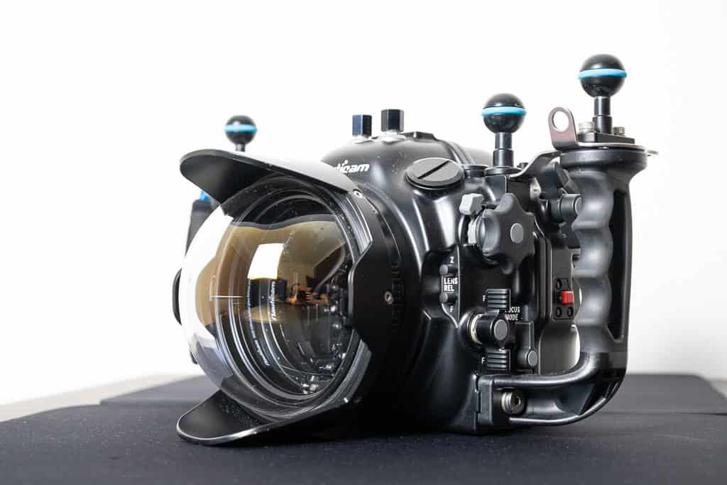 Z8 Et Nauticam 22