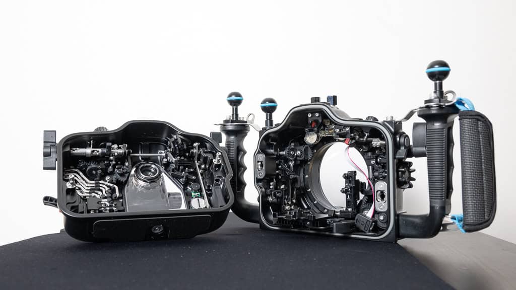 Z8 Et Nauticam 23