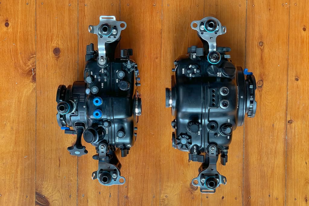 Z8 Et Nauticam 26