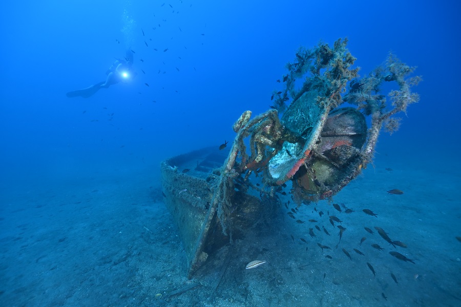 1er prix © Tony Viacara - Championnats de France de photo et vidéo sous-marine