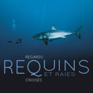 Un plongeur explore les profondeurs marines aux côtés d'un majestueux requin, symbolisant l'harmonie océanique. #Plongée