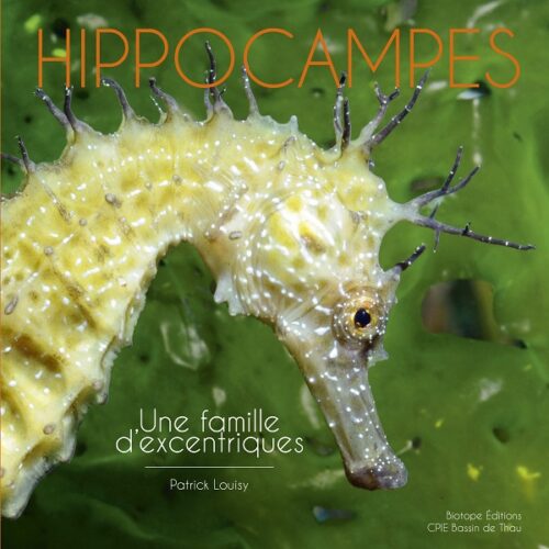 couverture_OK Bea.indd Découvrez l'univers fascinant des hippocampes, véritables joyaux de la biodiversité marine.