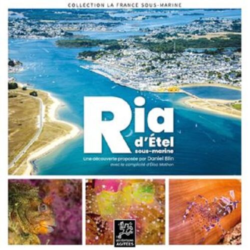Ria-d-Etel-sous-marine Explorez la biodiversité fascinante de la Ria d'Étel, un joyau marin breton idéal pour les passionnés de plongée.