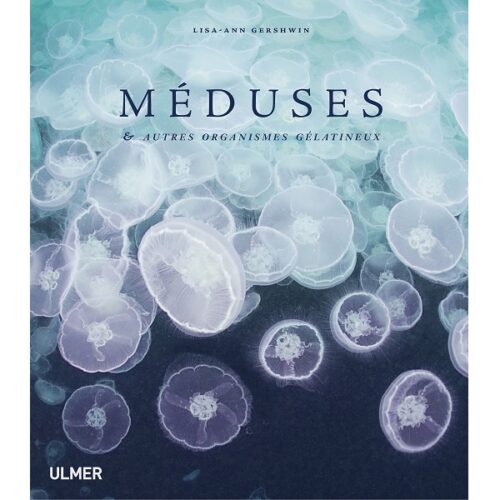 Sans titre Un ballet hypnotique de méduses révèle la beauté mystérieuse des océans, essentiel pour les passionnés de plongée.