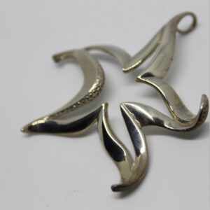 pendentif etoile mer Un pendentif en forme d'étoile de mer évoque l'élégance des profondeurs marines, idéal pour les passionnés de plongée.
