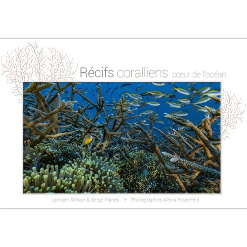 ros01 Un banc de poissons traverse un récif corallien vibrant, illustrant la biodiversité marine essentielle à l'écosystème océa...